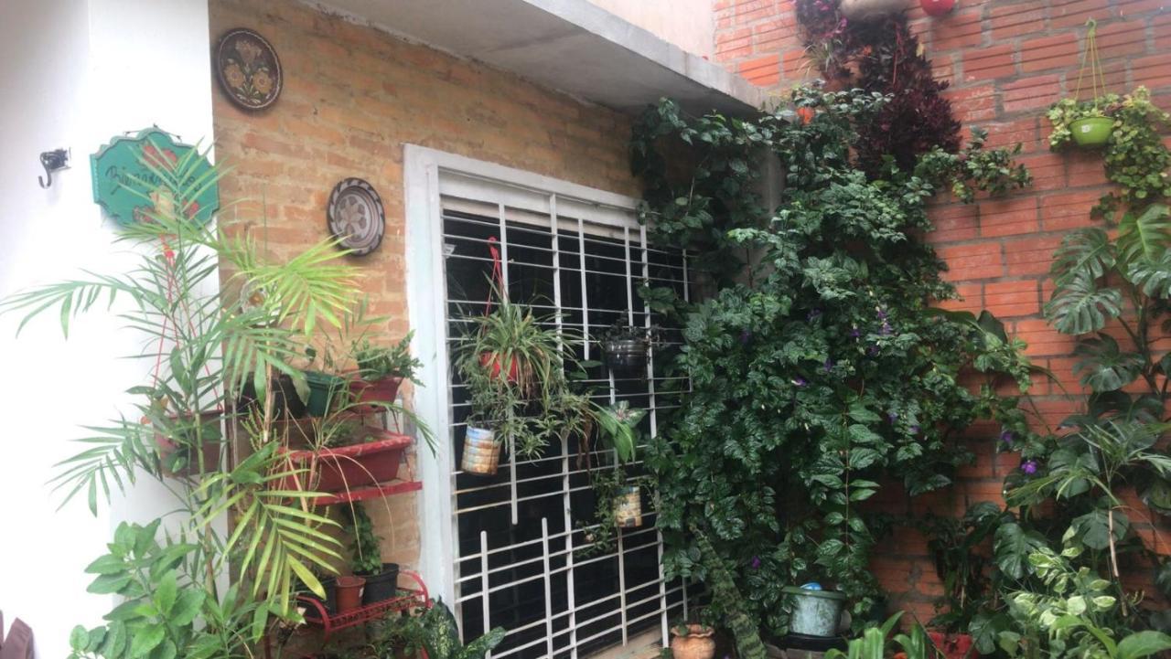 La Petite Maison De Diana 亚松森 外观 照片